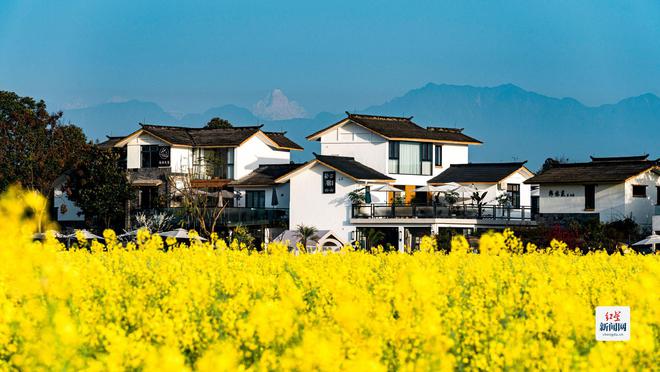 崇州春日盛事：马拉松邂逅花海精品线路等你探索(图2)